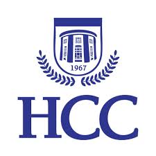Hscc Icon Pain Management Without Opioids Panel Discussion - Valley Independent ...