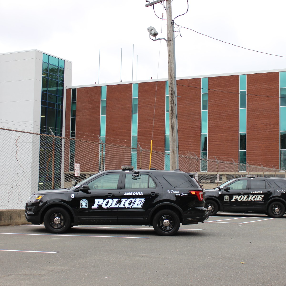 Three Women Charged With Animal Cruelty In Ansonia