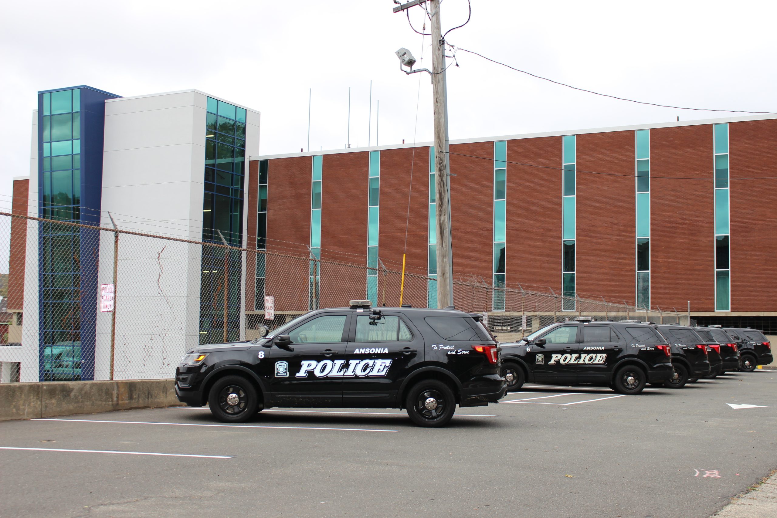 Three Women Charged With Animal Cruelty In Ansonia