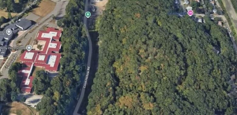 A Google Maps image showing an aerial view of the undeveloped 'Telescope Mountain' in west Derby.