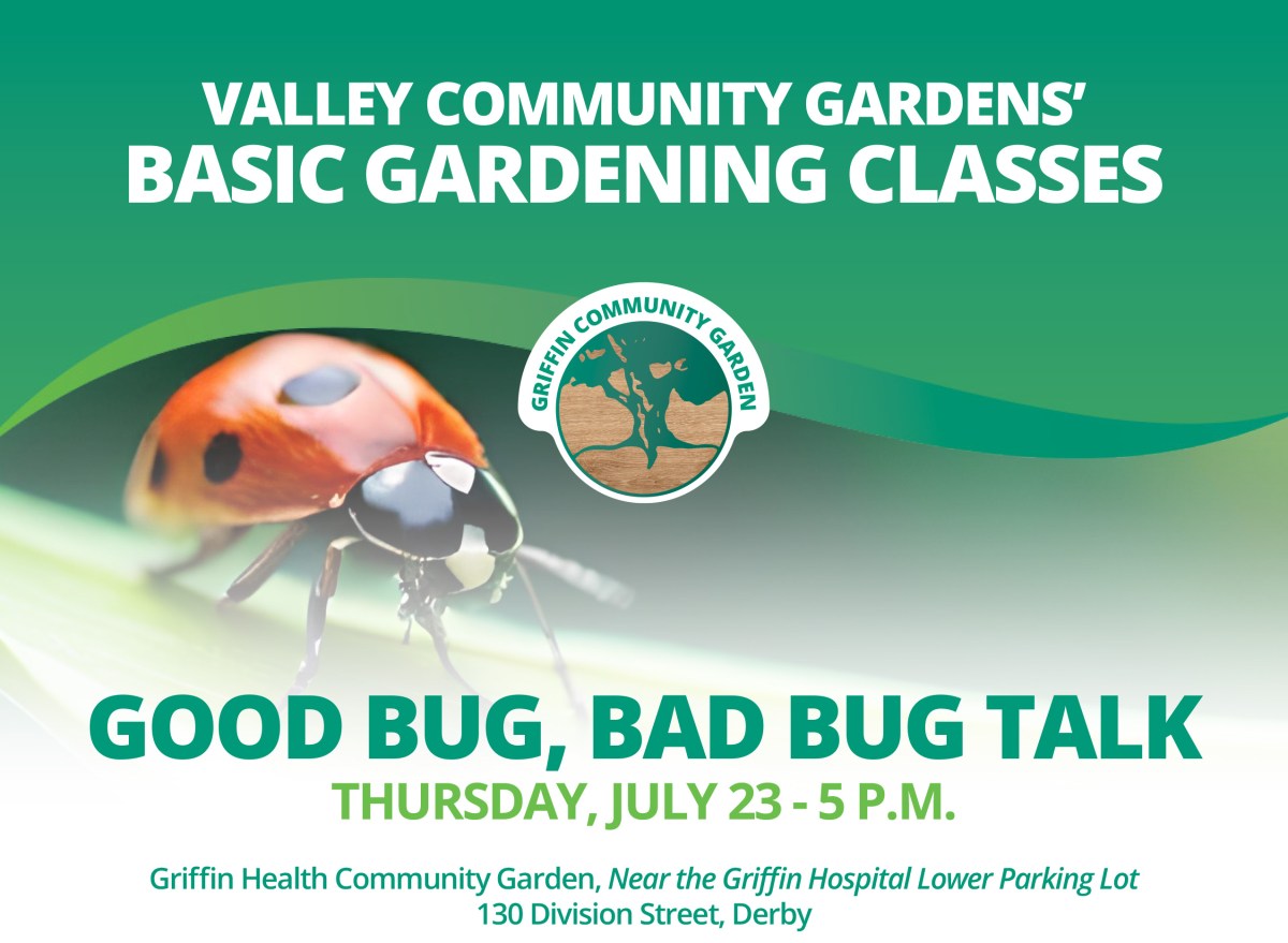 Griffin Health Community Garden To Host Free Presentation On Bugs