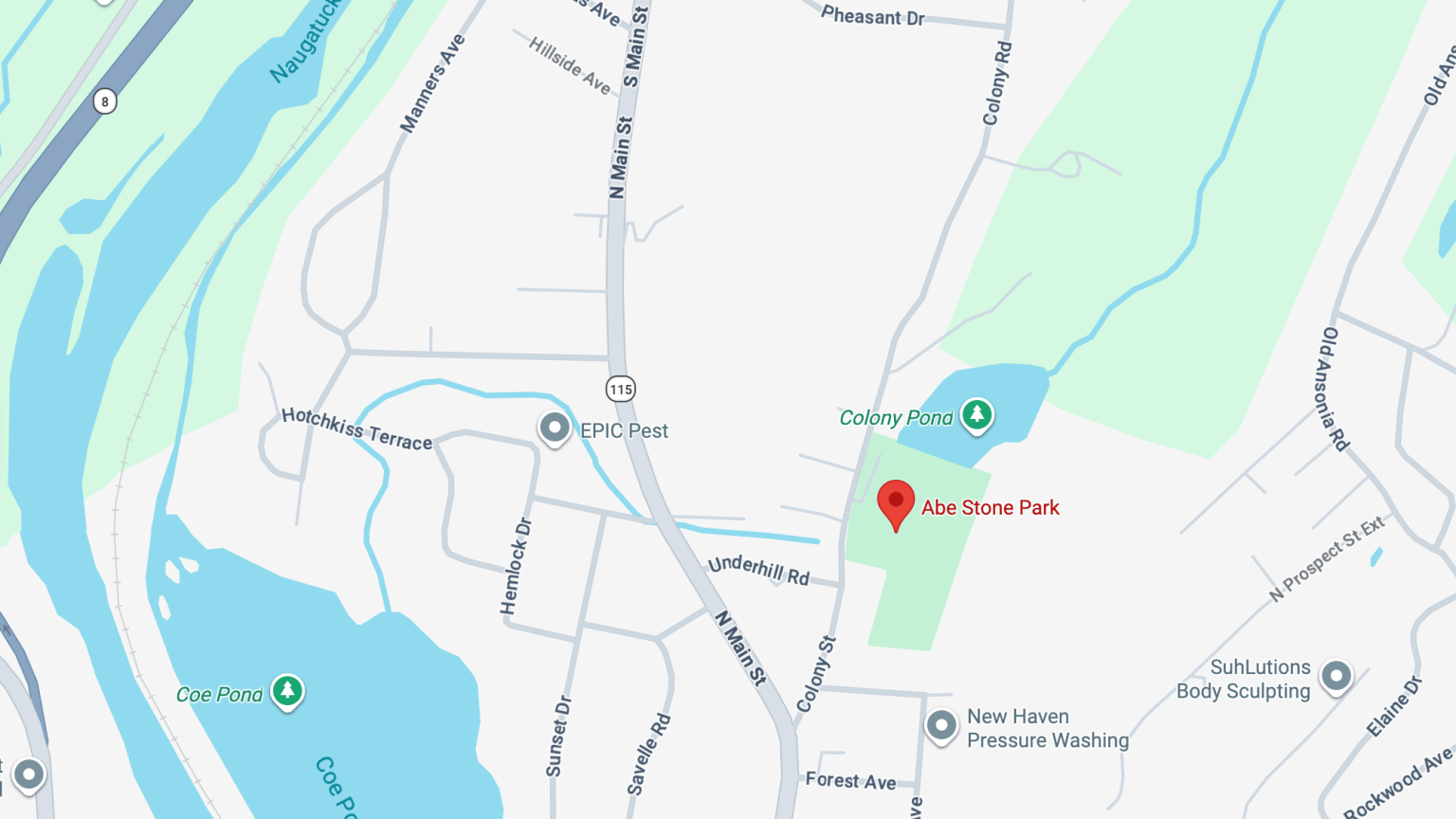 Ansonia Officials Consider Dog Park At Abe Stone Park - Valley ...