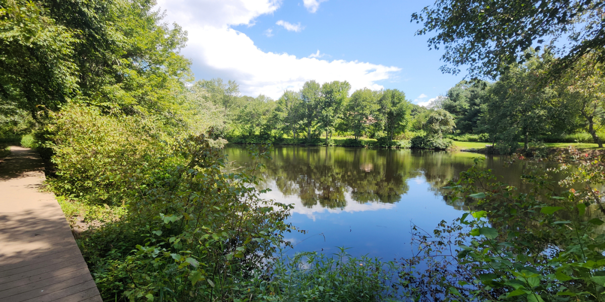 Moon Hikes, Car Shows And More Upcoming At Ansonia Nature Center