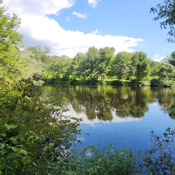 Moon Hikes, Car Shows And More Upcoming At Ansonia Nature Center