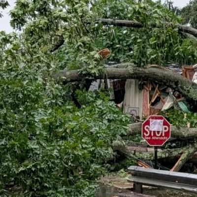 Fallen Tree Crushes Trailer In Derby