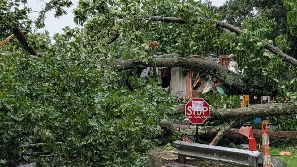 Fallen Tree Crushes Trailer In Derby