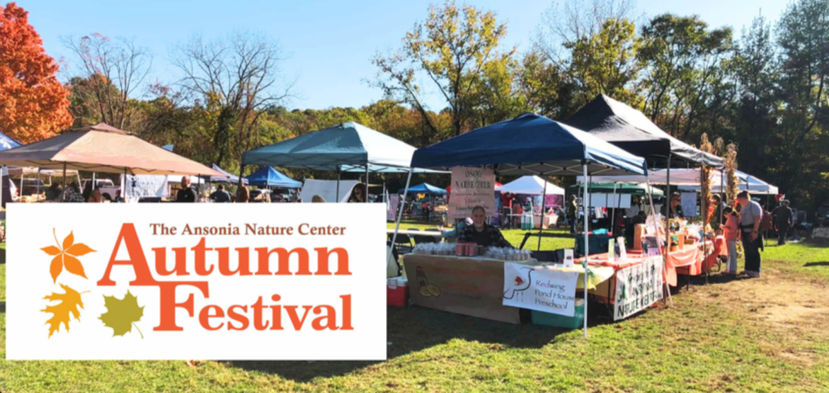 Ansonia Nature Center Autumn Festival Coming Up
