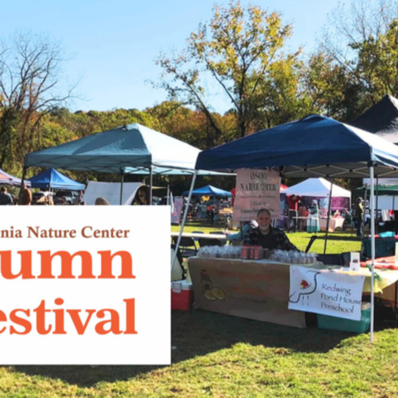 Ansonia Nature Center Autumn Festival Coming Up