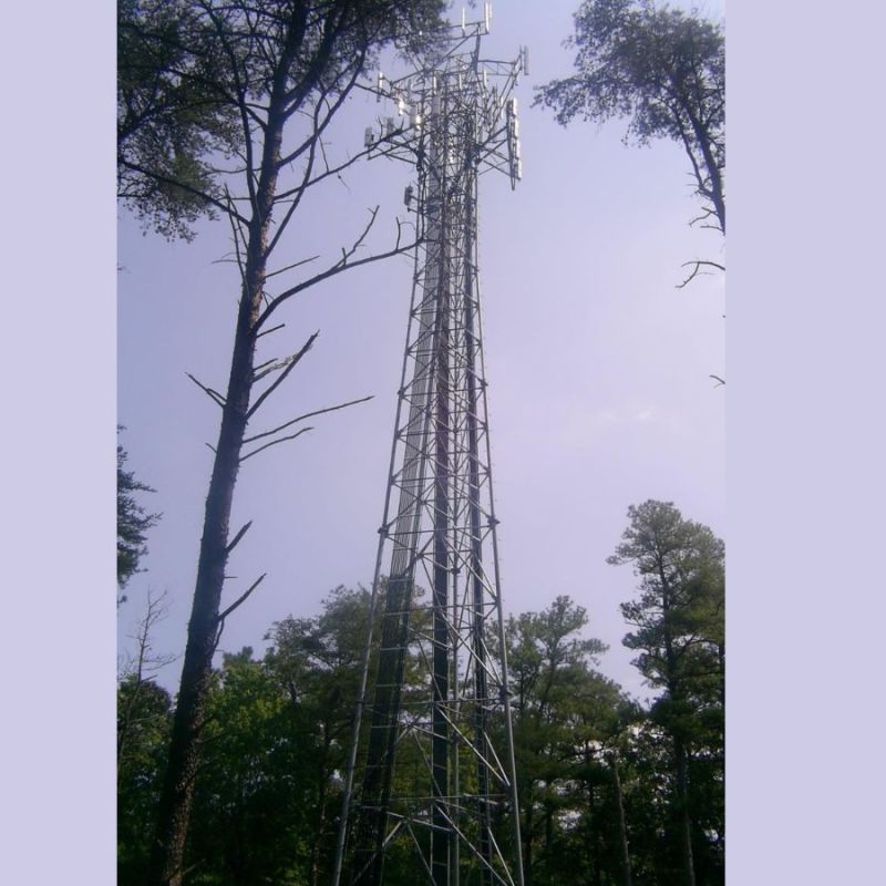 Seymour Eyes Botsford Road Cell Tower, Again